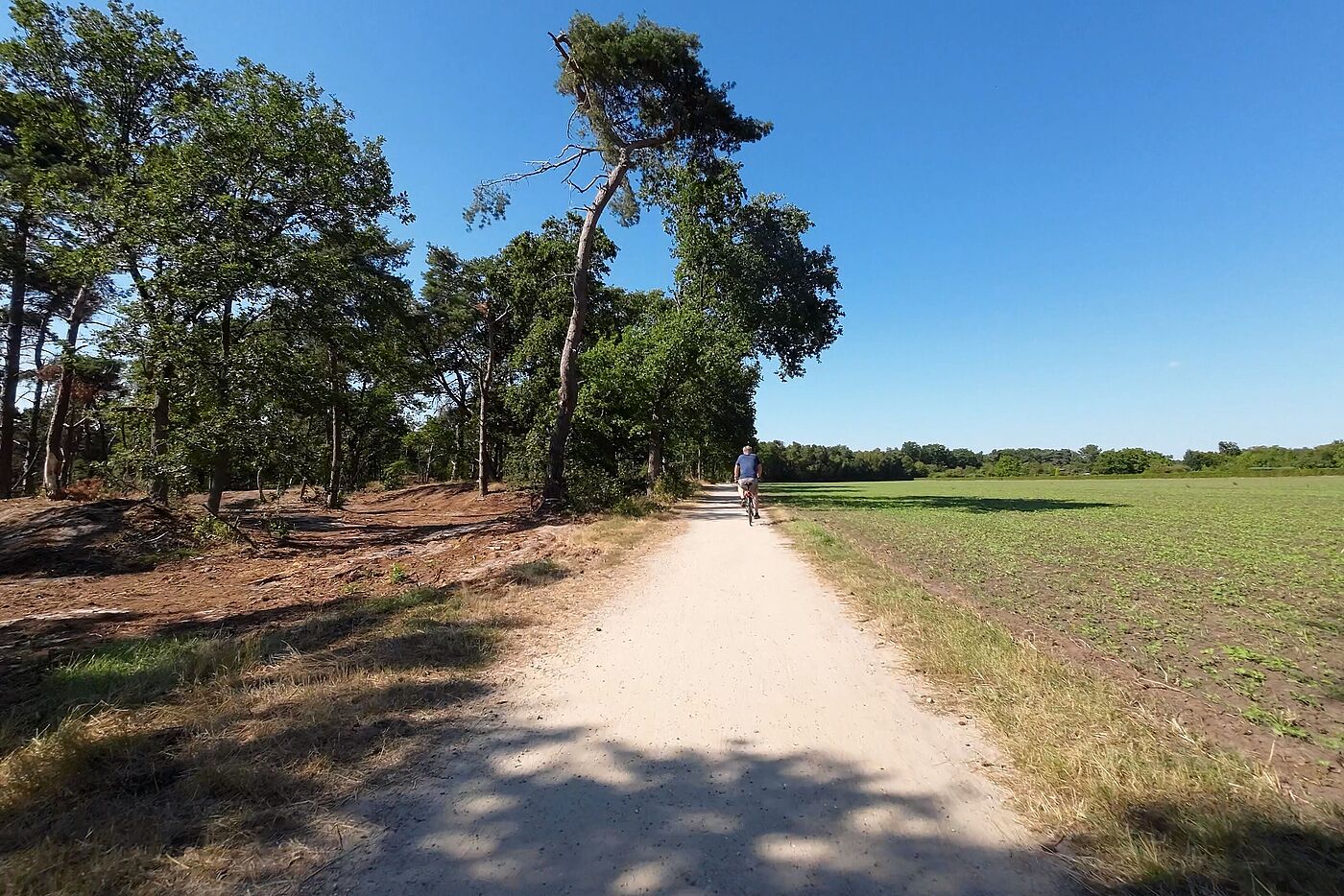 A Grenzweg zu den Niederlanden 1