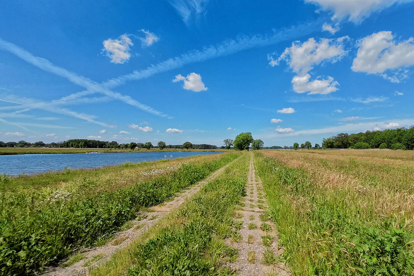 Auch ein Fahrweg