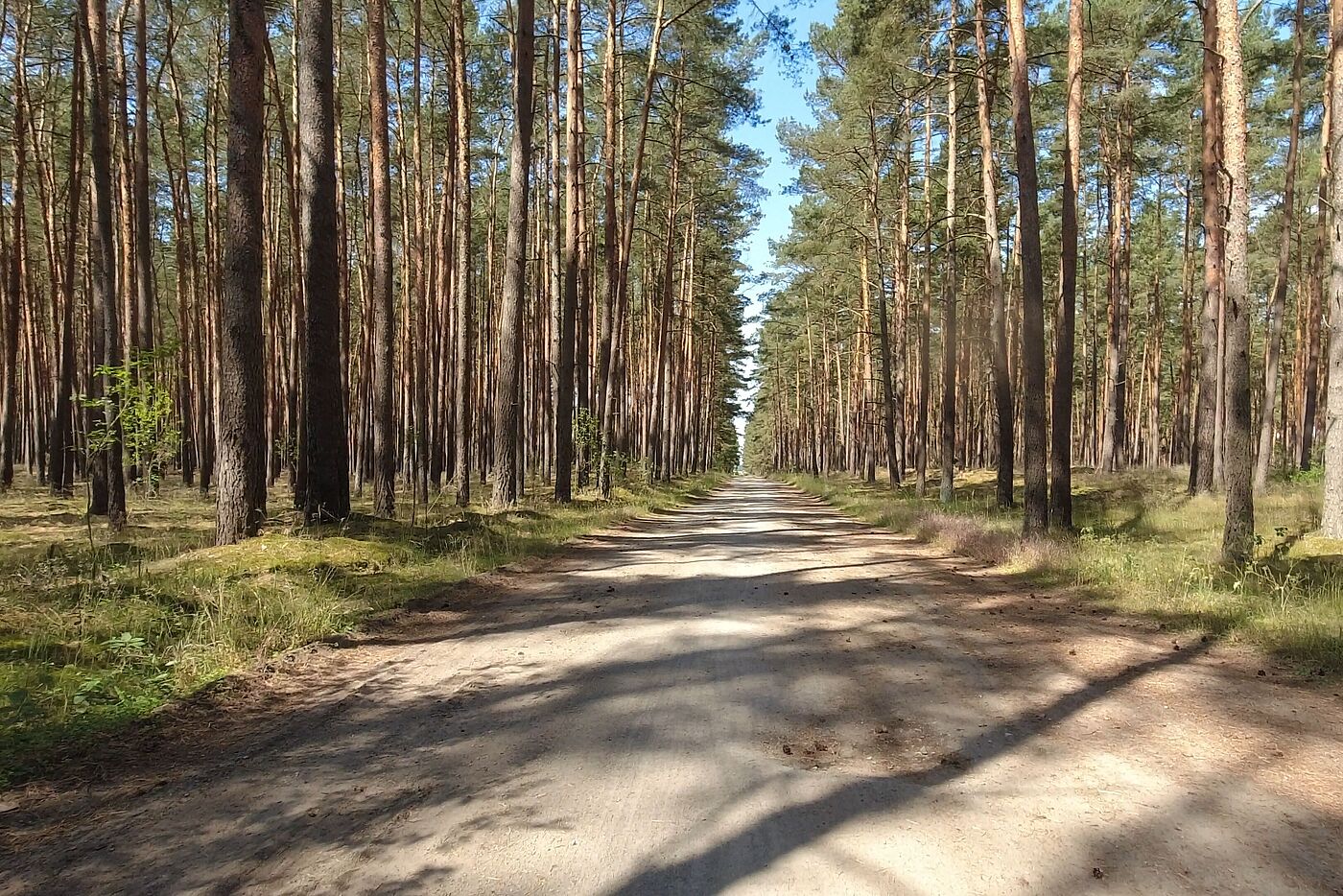 Fahrt durch die Altmark