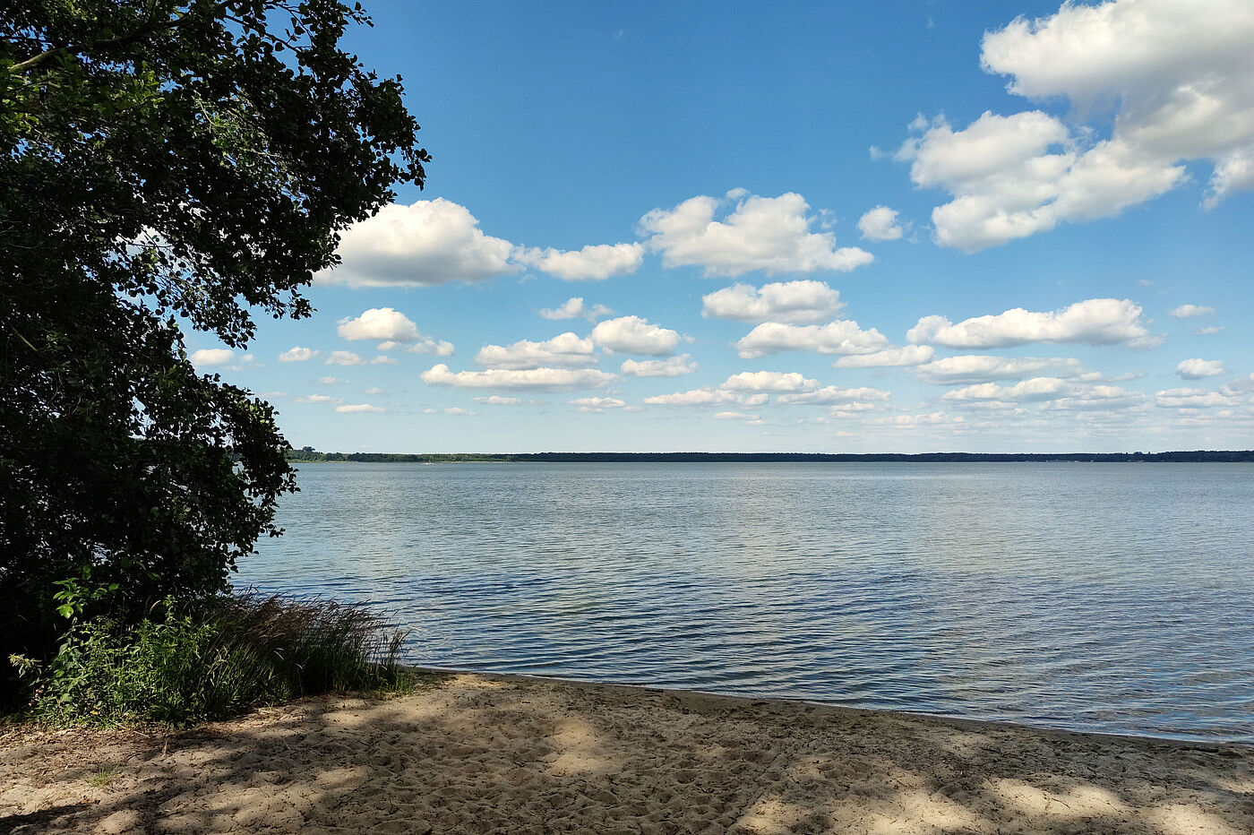 Der Arendsee