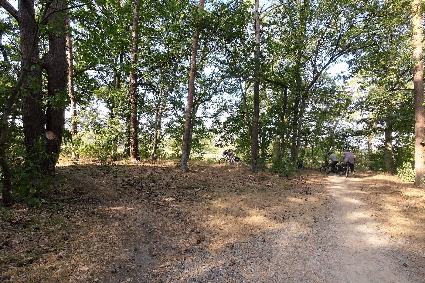 Im Lutterzand