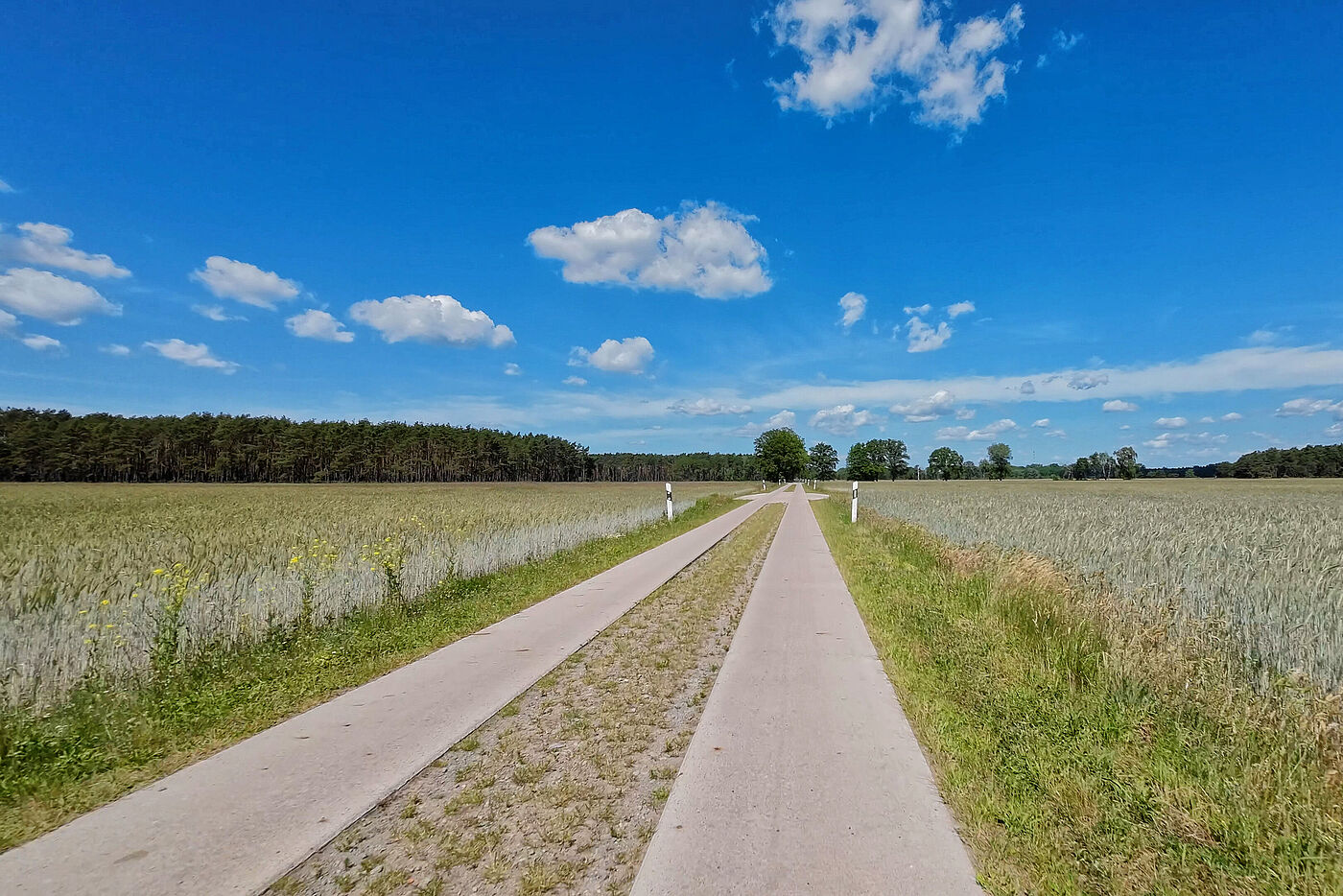 Straße zwischen Bömenzien und Nienwalde