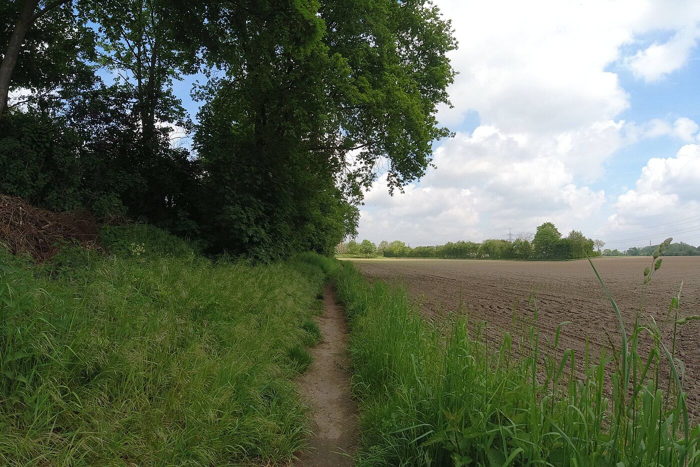 Neben der Bruchstraße - Holderberg