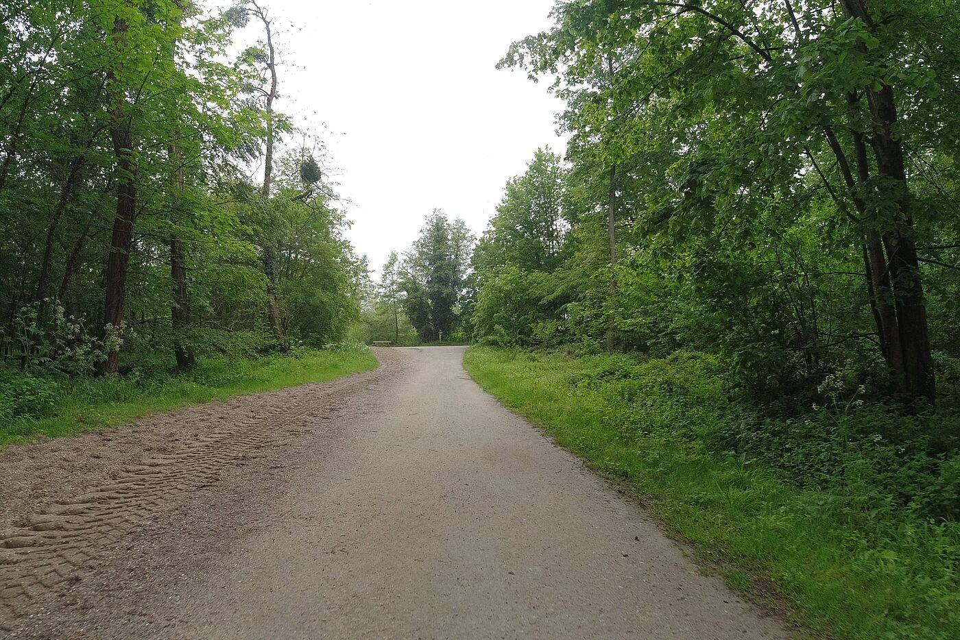 Im Hinkesforst
