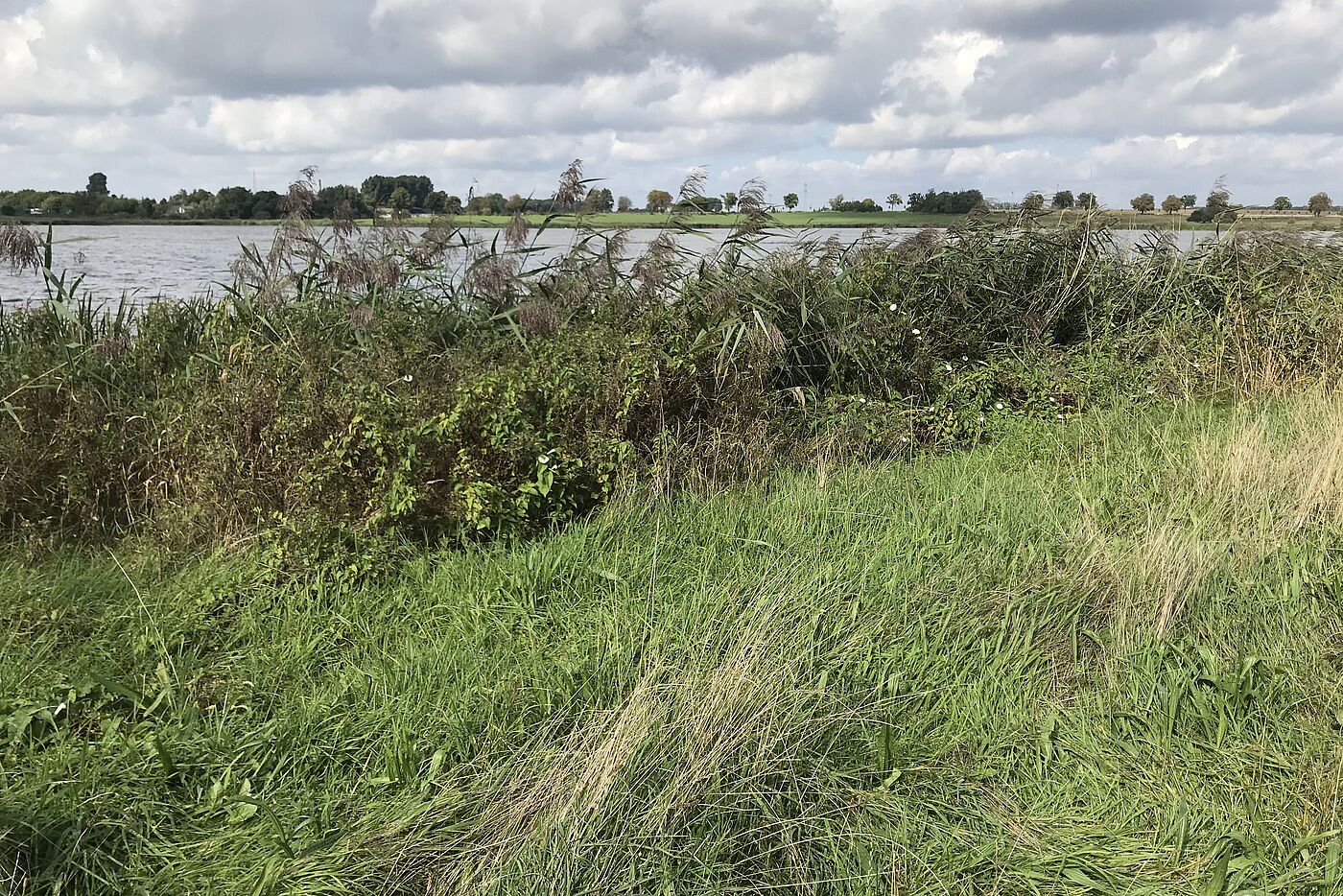 Am Richtenberger See beim Aussichtsturm