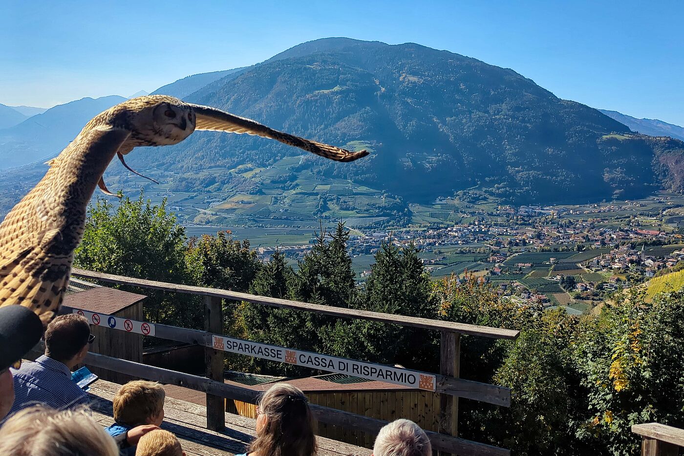 ... und manchmal spürt man sie nur ... und manchmal spürt man sie nur