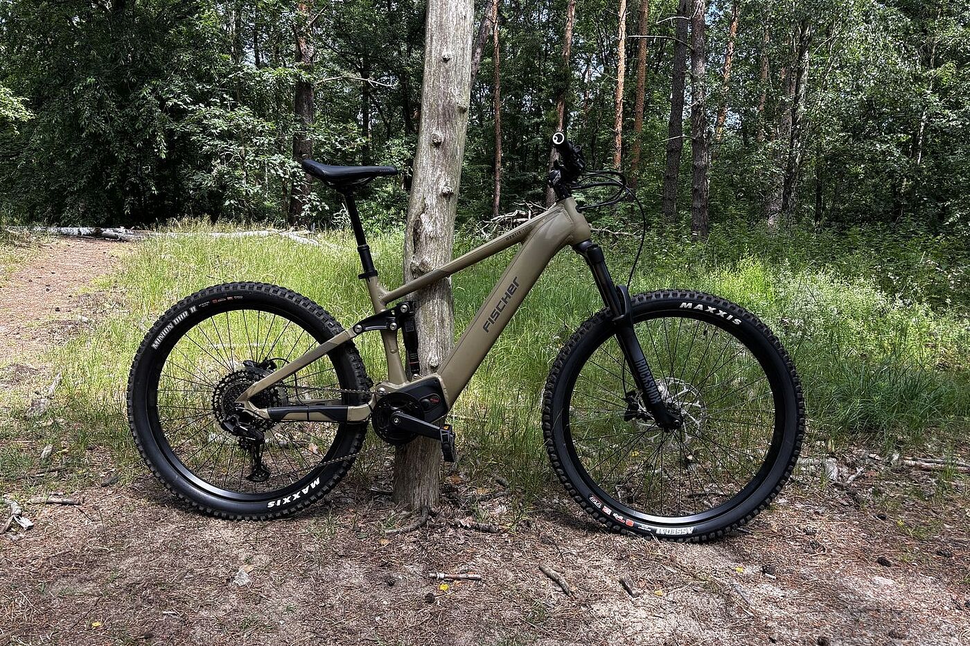Fischer Seitenansicht Ein Mountainbike lehnt an einem Holzpfahl im Wald.