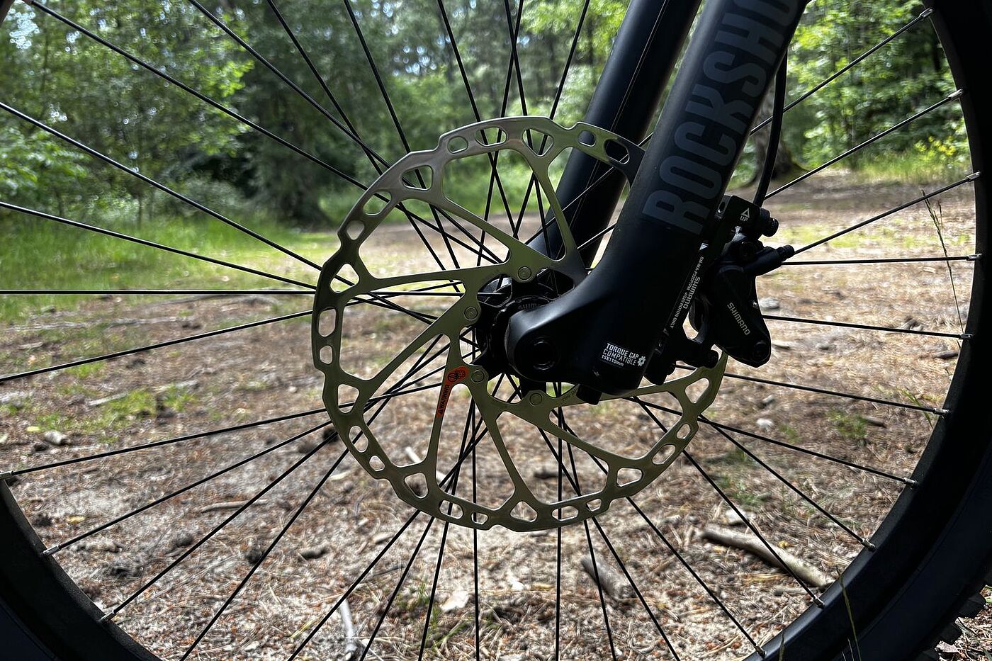 Bremsscheibe Bremsscheibe an einem MTB-Vorderrad.
